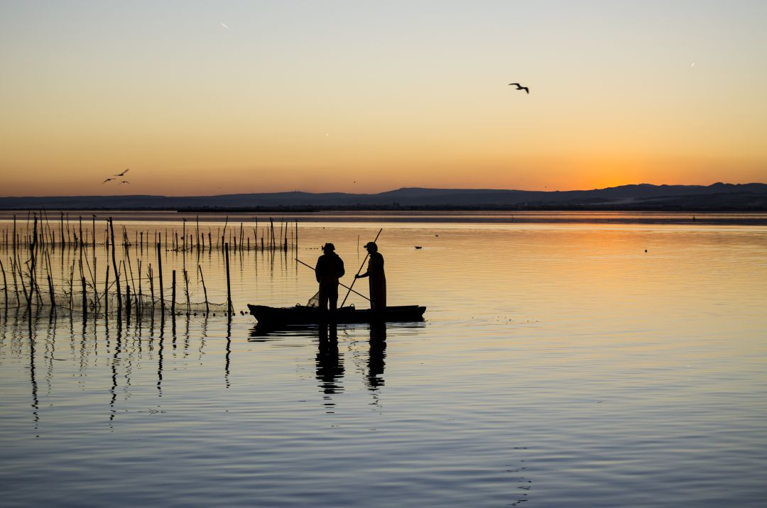 La Junta de Desagüe niega ser la responsable de la escasez de agua en la Albufera La Junta de Desagüe niega ser la responsable de la escasez de agua en la Albufera