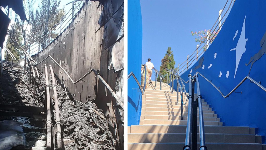 El Oceanogràfic abre la escalera que se quemó en el incendio