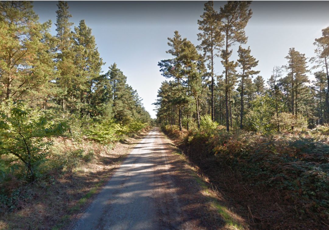 Culleredo pactará mejoras en el Monte Xalo con los propietarios