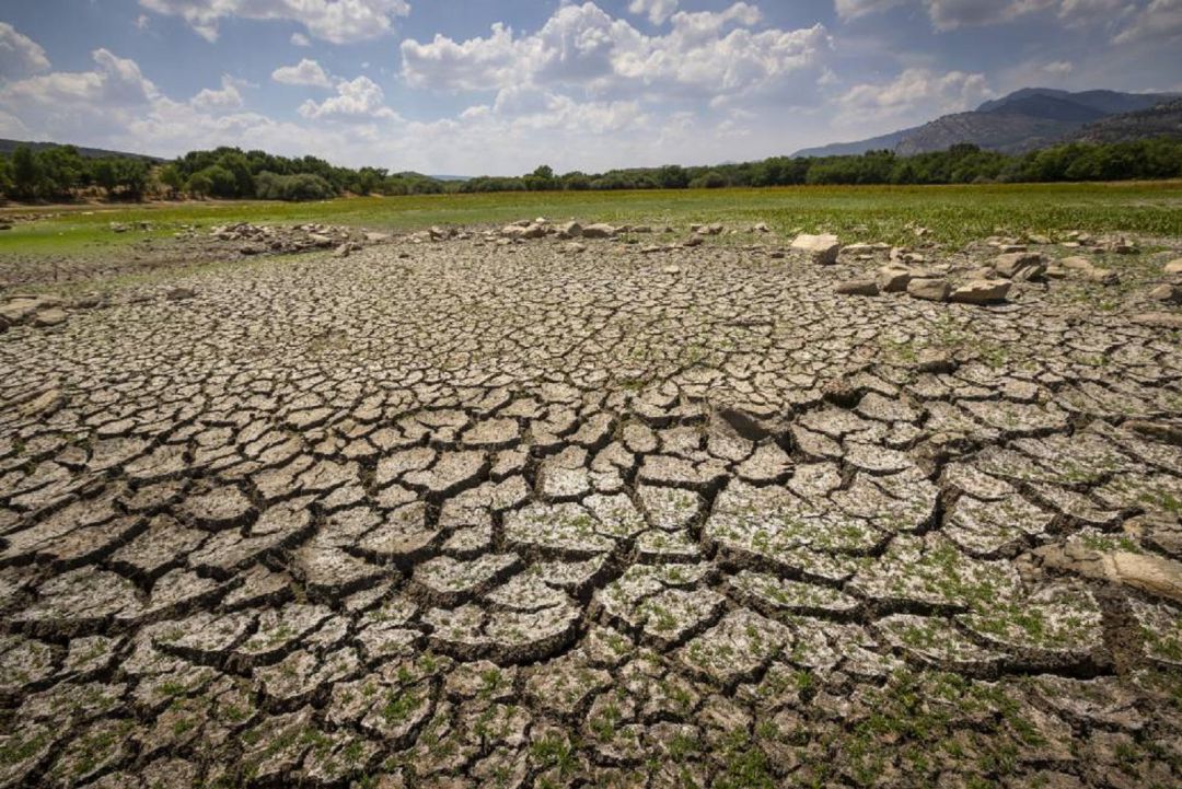 Colectivos y asociaciones instan al pleno a aprobar una moción de emergencia climática Colectivos y asociaciones instan al pleno a aprobar una moción de emergencia climática