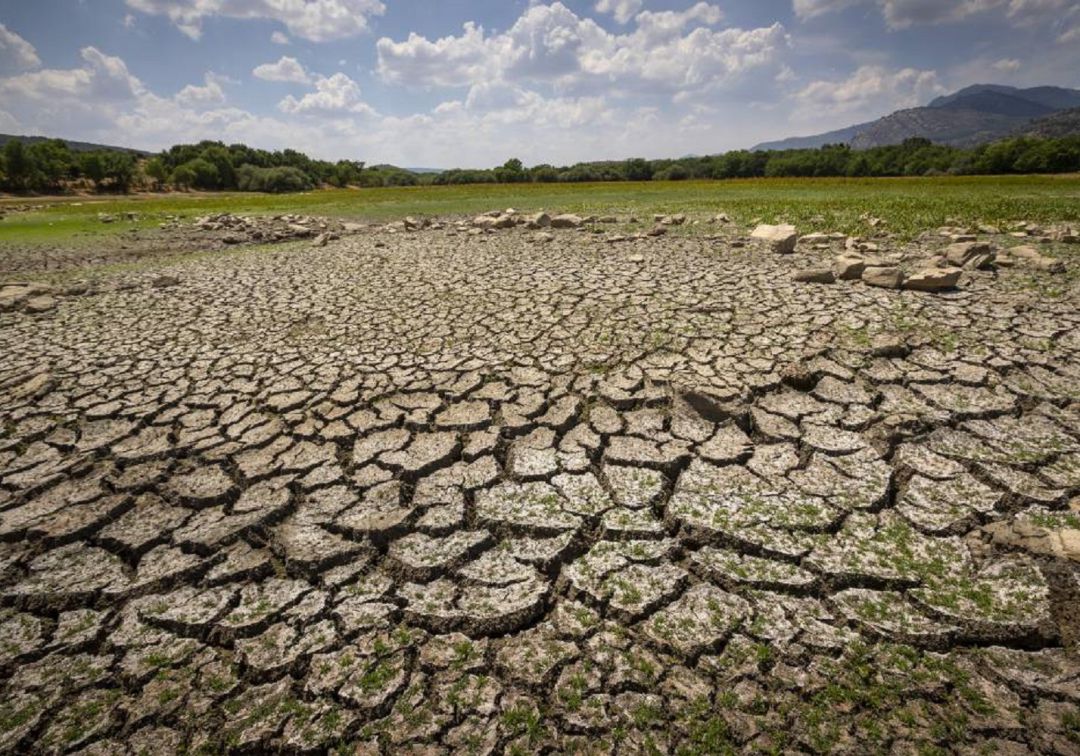 Colectivos y asociaciones instan al pleno a aprobar una moción de emergencia climática