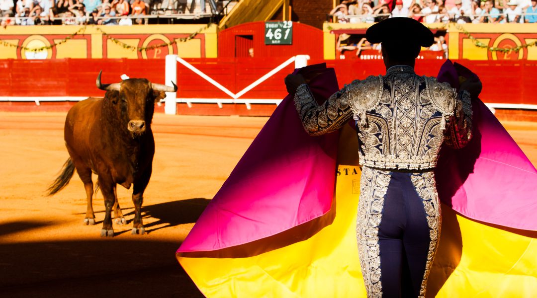 El Ayuntamiento de Mula no destinará dinero del presupuesto municipal para financiar festejos taurinos El Ayuntamiento de Mula no destinará dinero del presupuesto municipal para financiar festejos taurinos