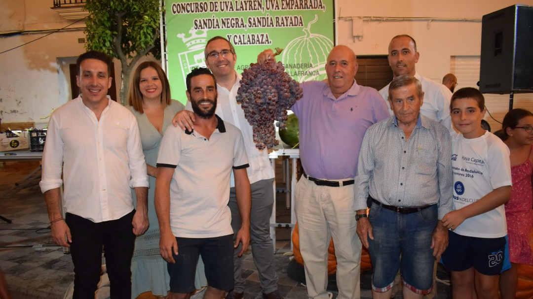 Los Palacios y Villafranca: el racimo de uva más grande del mundo