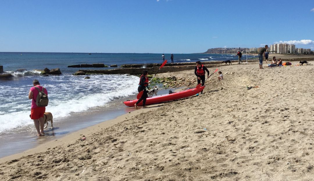 El Ayuntamiento se olvida de la playa canina de Urbanova El Ayuntamiento se olvida de la playa canina de Urbanova