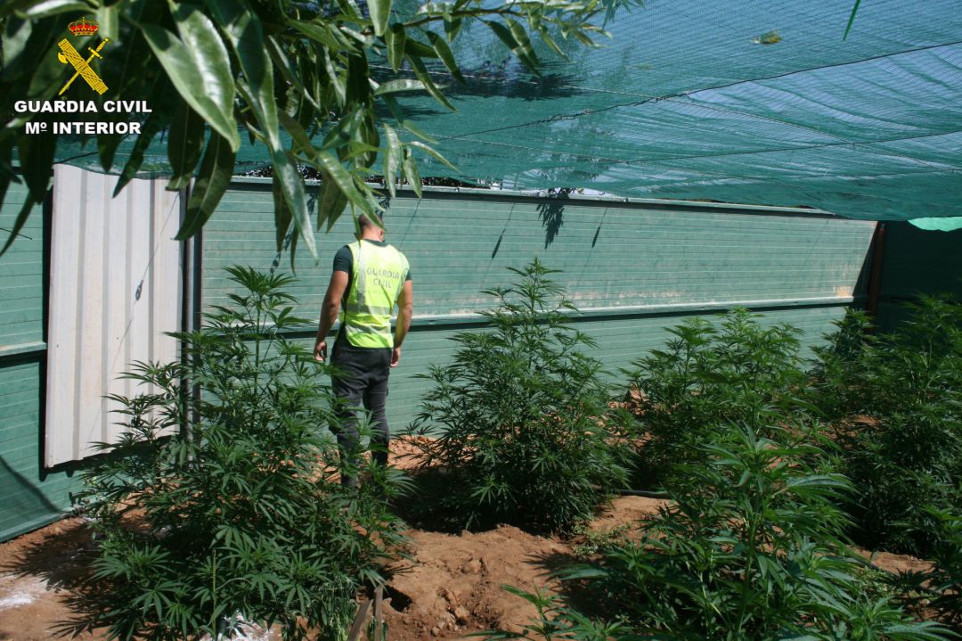ARAD alerta de que en verano aumenta el consumo de drogas y es cuando muchos jóvenes se inician ARAD alerta de que en verano aumenta el consumo de drogas y es cuando muchos jóvenes se inician