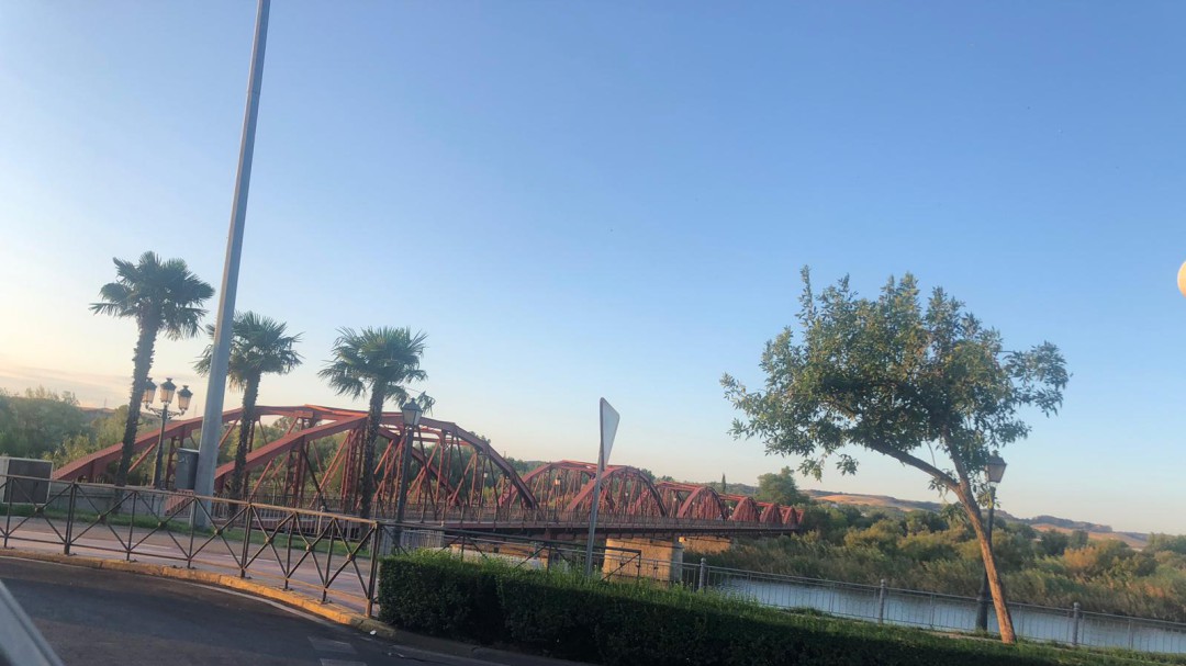 El Consejero de Fomento anuncia la licitación de las obras del 'Puente de Hierro'