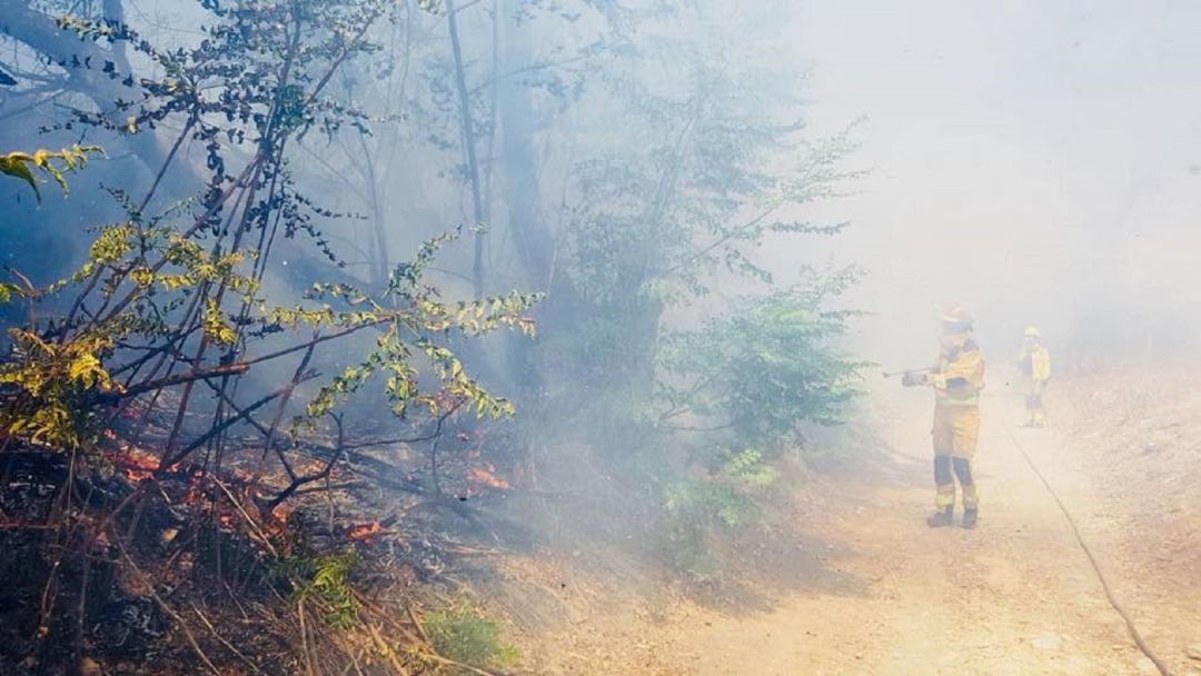Los bomberos de Jaén trabajan en la extinción del fuego. Los bomberos de Jaén trabajan en la extinción del fuego.