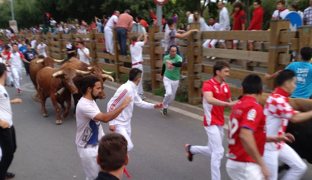 Tercer encierro Fiestas Tudela Tercer encierro Fiestas Tudela