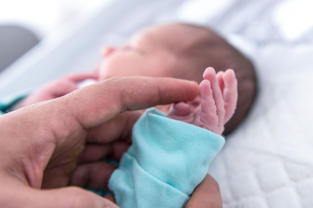 Indemnización Paternidad Indemnización Paternidad
