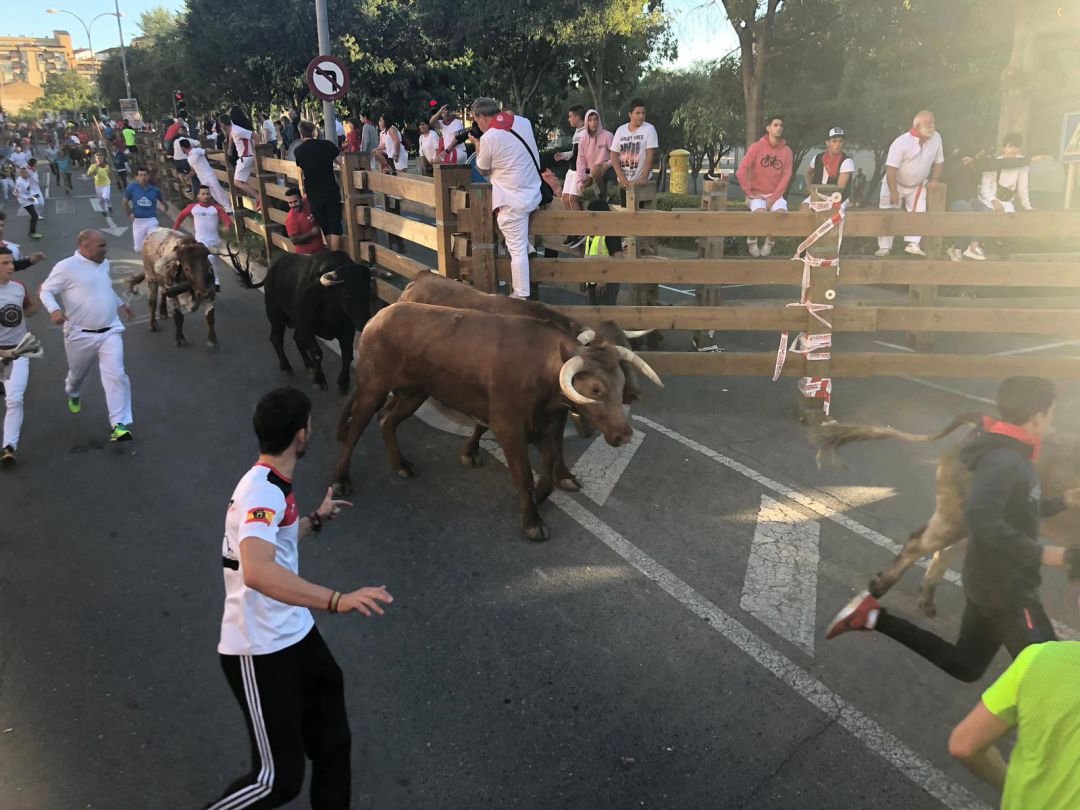Quinto encierro Fiestas de Tudela: Un corredor, arrollado por varios astados Quinto encierro Fiestas de Tudela: Un corredor, arrollado por varios astados