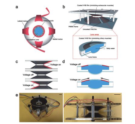 La tecnología permite ampliar la distancia focal. La tecnología permite ampliar la distancia focal.