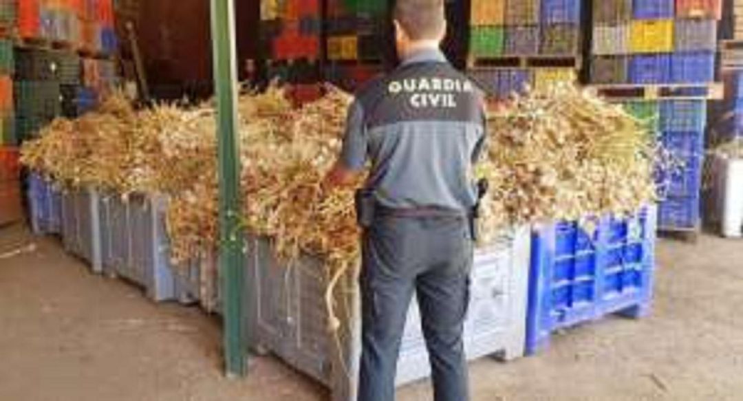 Detenidas tres personas en Aceuchal por robar 7.000 kilos de ajo de Las Pedroñeras Detenidas tres personas en Aceuchal por robar 7.000 kilos de ajo de Las Pedroñeras