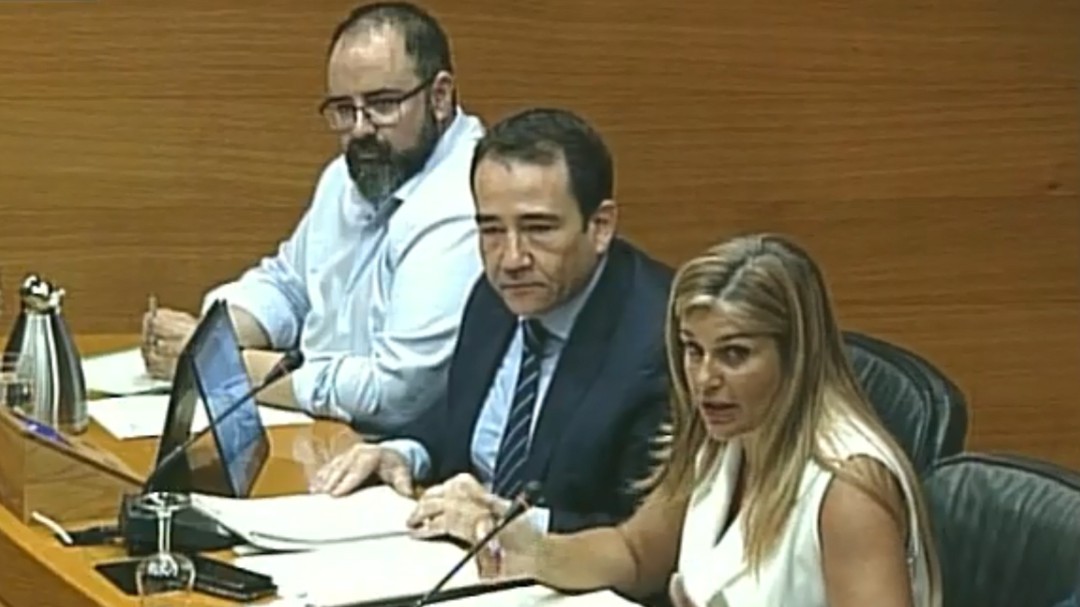 El director del IVF afirma que se vendió la deuda del Grupo Zeta sin intervención de Puig