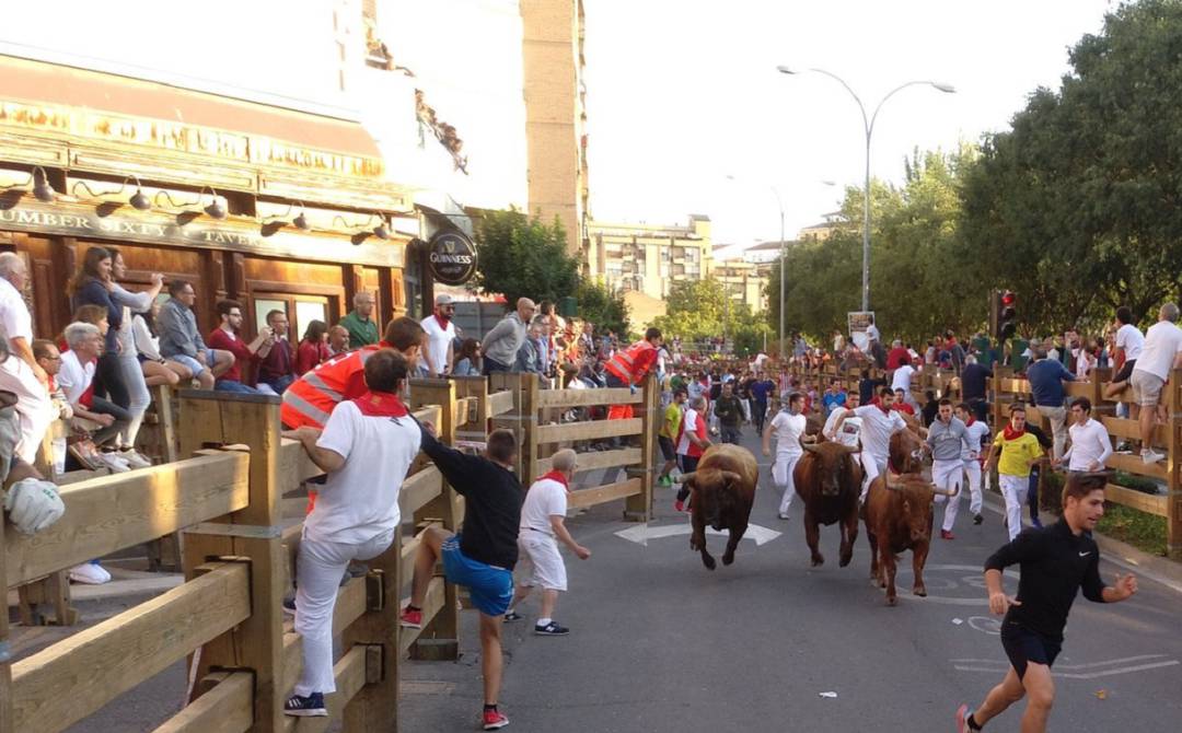 Último encierro Fiestas de Tudela: el más lento Último encierro Fiestas de Tudela: el más lento