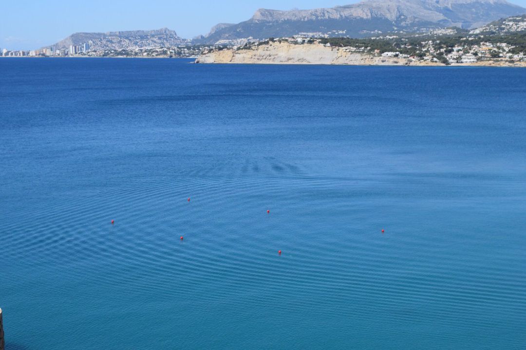 El Ayuntamiento de Teulada espera el visto bueno del Servicio Provincial de Costas de Alicante para instalar las boyas ecológicas de forma permanente El Ayuntamiento de Teulada espera el visto bueno del Servicio Provincial de Costas de Alicante para instalar las boyas ecológicas de forma permanente