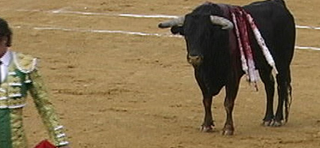 Corrida de Toros Corrida de Toros