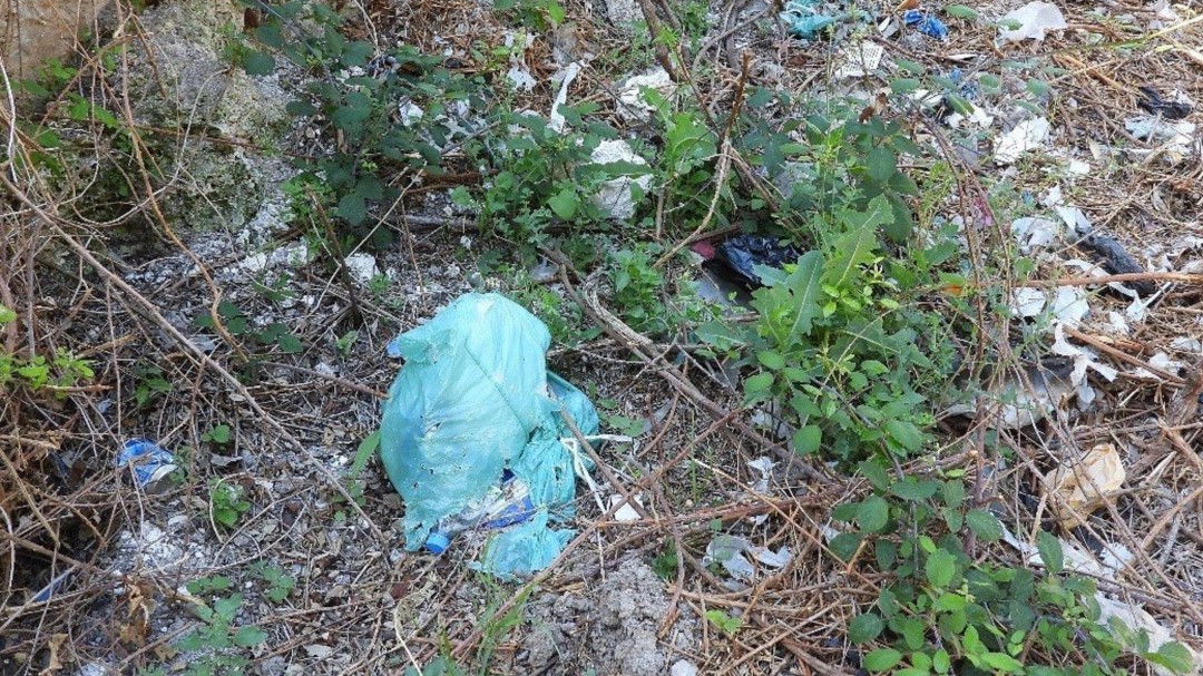 'Let's clean Up Europe' ha retirado 2.900 kilos de residuos en las Balears