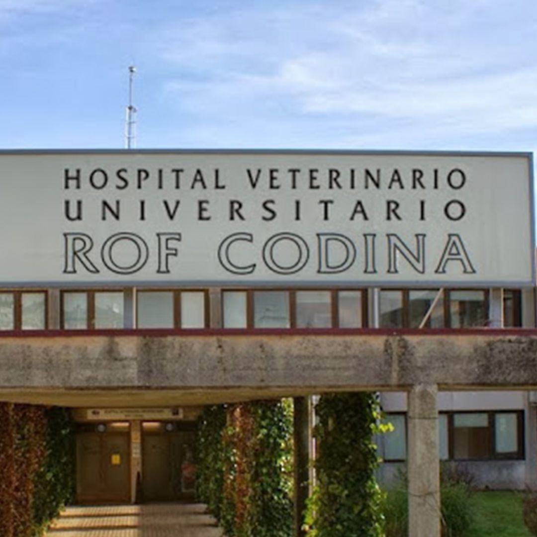El decano de Veterinaria, Germán Santamarina, "satisfecho" tras ampliarse la oferta formativa con un máster en alimentación y nutrición de mascotas El decano de Veterinaria, Germán Santamarina, "satisfecho" tras ampliarse la oferta formativa con un máster en alimentación y nutrición de mascotas