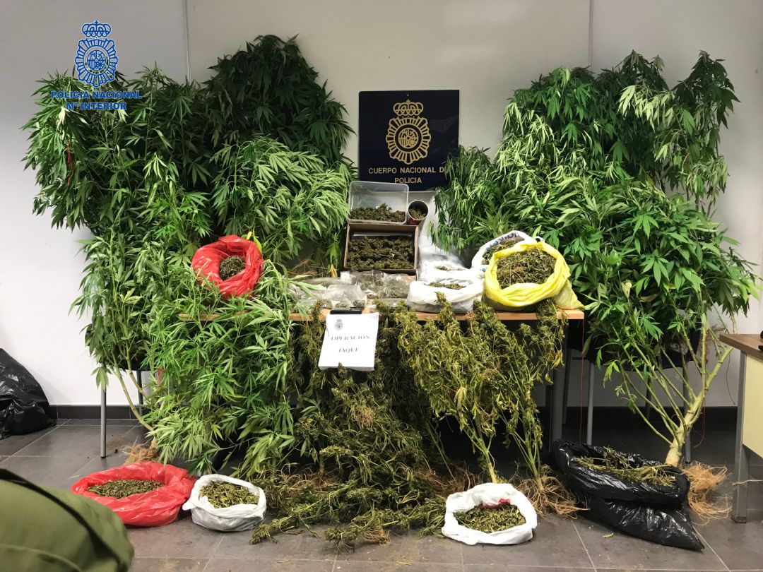 Detienen a dos personas en Ciutadella con 800 gramos de marihuana Detienen a dos personas en Ciutadella con 800 gramos de marihuana