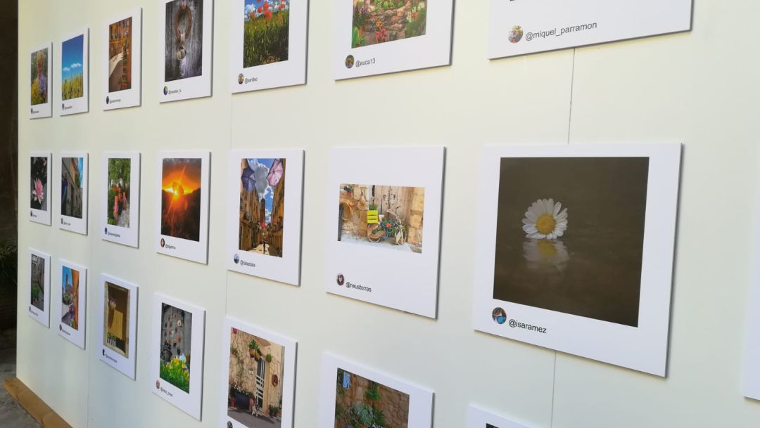 L'exposició es podrà veure al pati de l'IEI fins el 25 d'agost. L'exposició es podrà veure al pati de l'IEI fins el 25 d'agost.