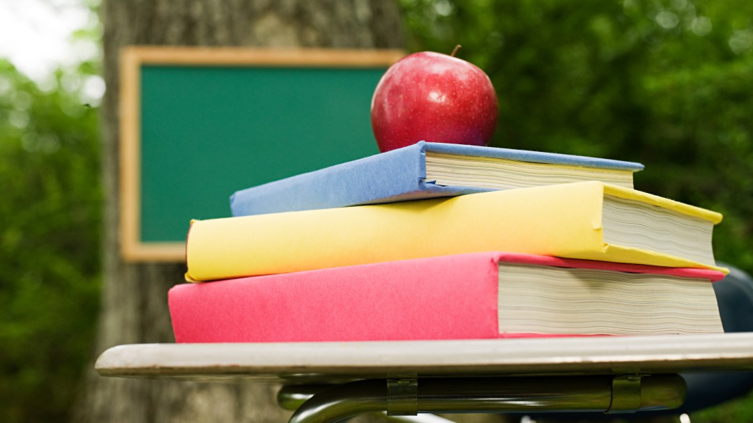 El camino que va de estudiar en Harvard a dar clase en un colegio rural de Teruel
