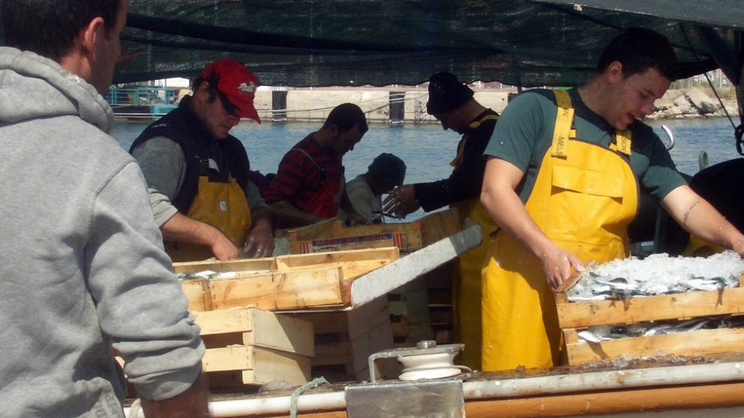 La Cofradía de Pescadores del Grau solicita la implantación de una etiqueta QR
