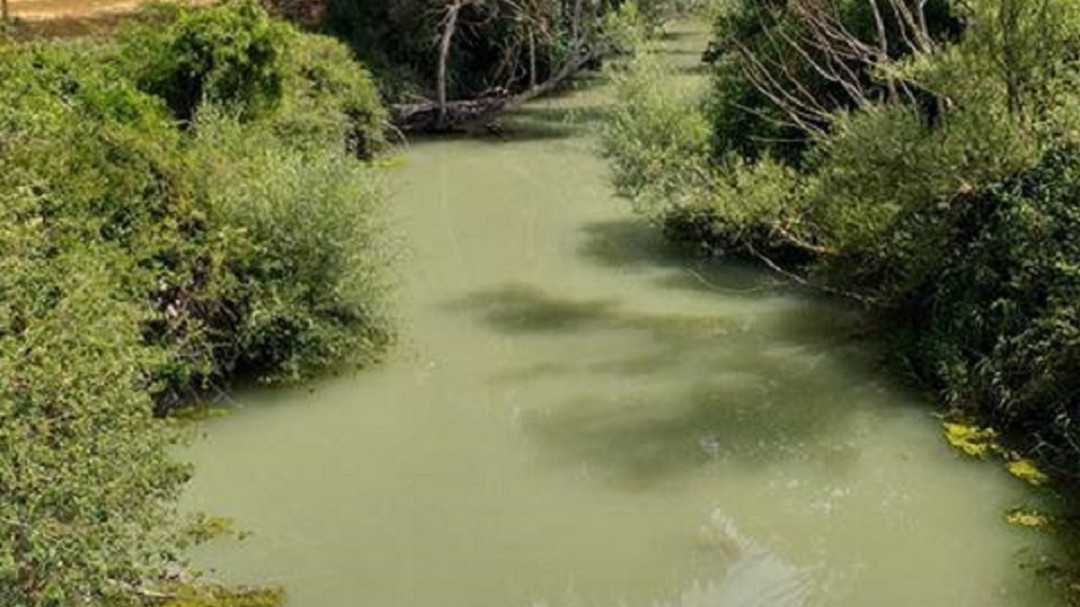 Denuncian un vertido en el río Omecillo: URA lo está investigando