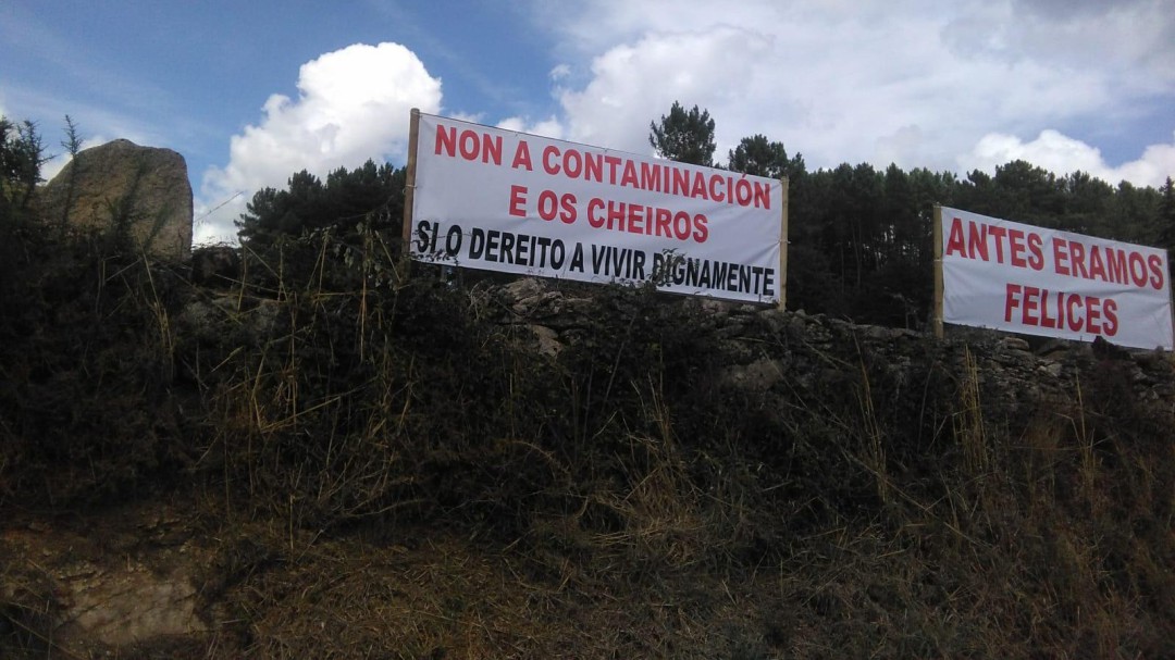 "El olor se mastica"