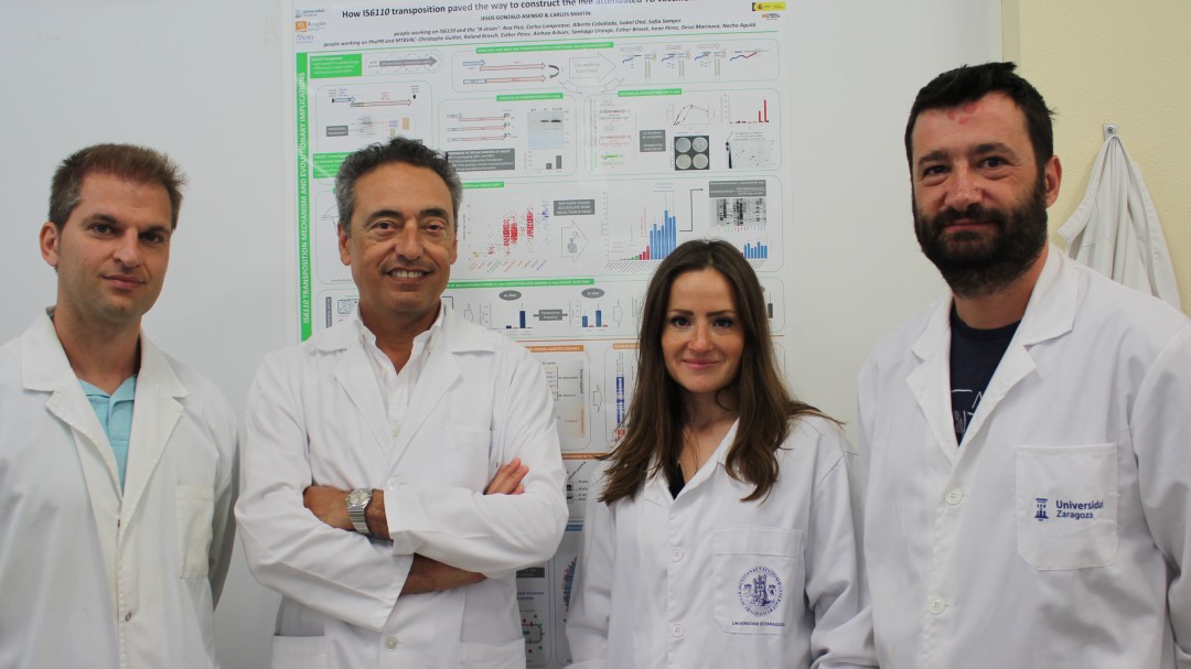 Buenos resultados de la vacuna aragonesa contra la tuberculosis