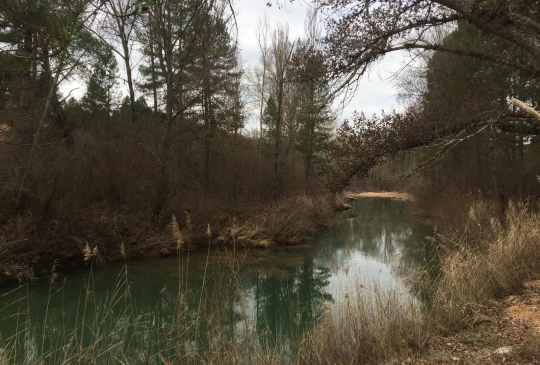 Comienzan las obras del Camino Natural del Río Júcar en la provincia de Cuenca Comienzan las obras del Camino Natural del Río Júcar en la provincia de Cuenca