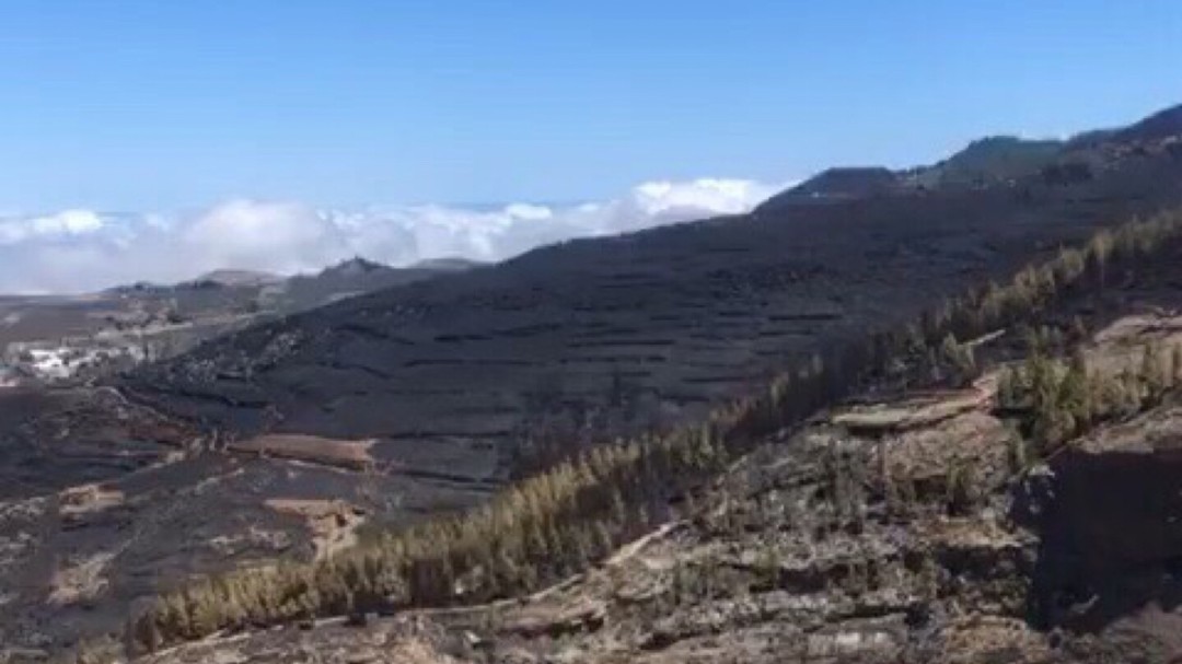 El incendio está contenido sin llamas ni humo