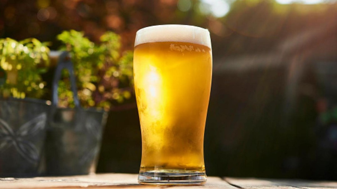 Vinos y cervezas ecológicas