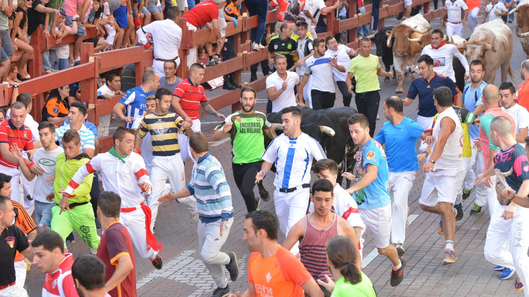 Sí Se Puede Sanse, "contra el maltrato animal" en las fiestas patronales
