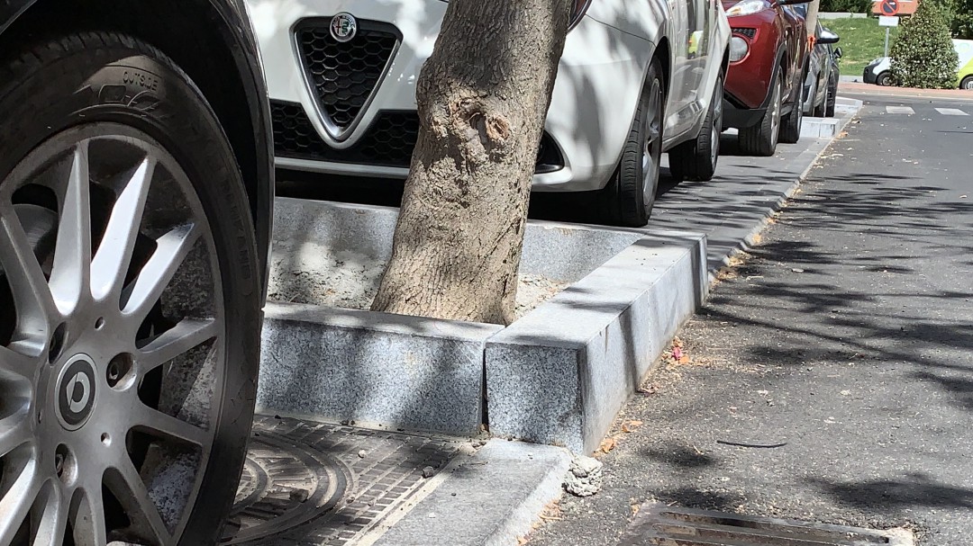 Piden rellenar los alcorques del municipio después del fallecimiento de un anciano