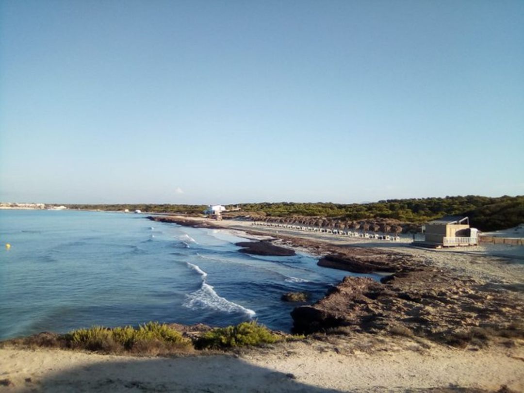 Emergencias dice que el informe de posidonia en sa Ràpita es técnico,no político Emergencias dice que el informe de posidonia en sa Ràpita es técnico,no político