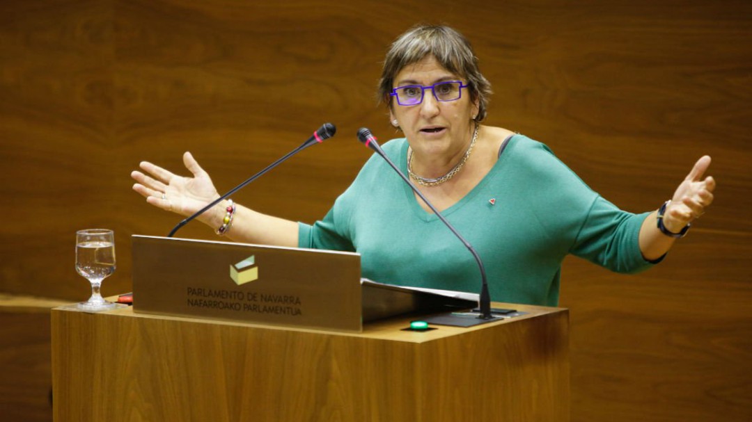 IE hablará la semana que viene con Geroa Bai sobre el asunto del senador autonómico