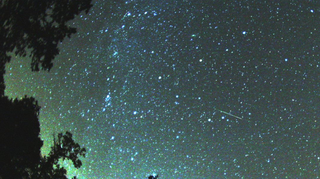 Un regalo celeste: las Perseidas de verano