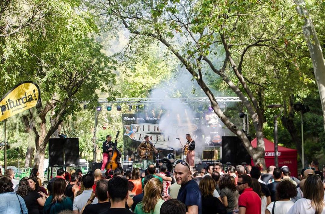 Festival Alligator Rockin Festival Alligator Rockin