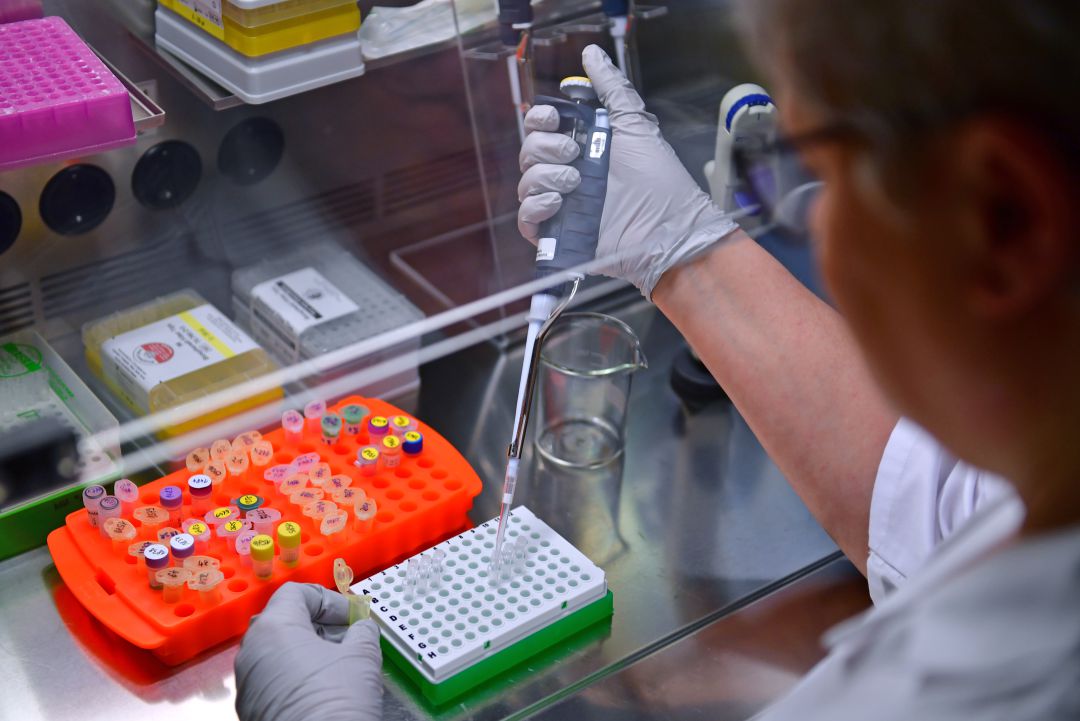 Bisfenol A, ultraprocesados, transgénicos... ¿peligro o no? Bisfenol A, ultraprocesados, transgénicos... ¿peligro o no?
