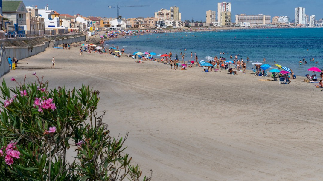 El Ayuntamiento de Cartagena ha retirado 700 toneladas de algas en lo que va de verano