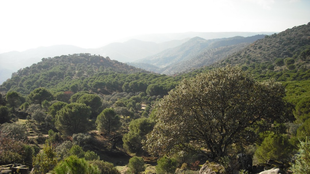 Alarma por el descenso del turismo en la provincia