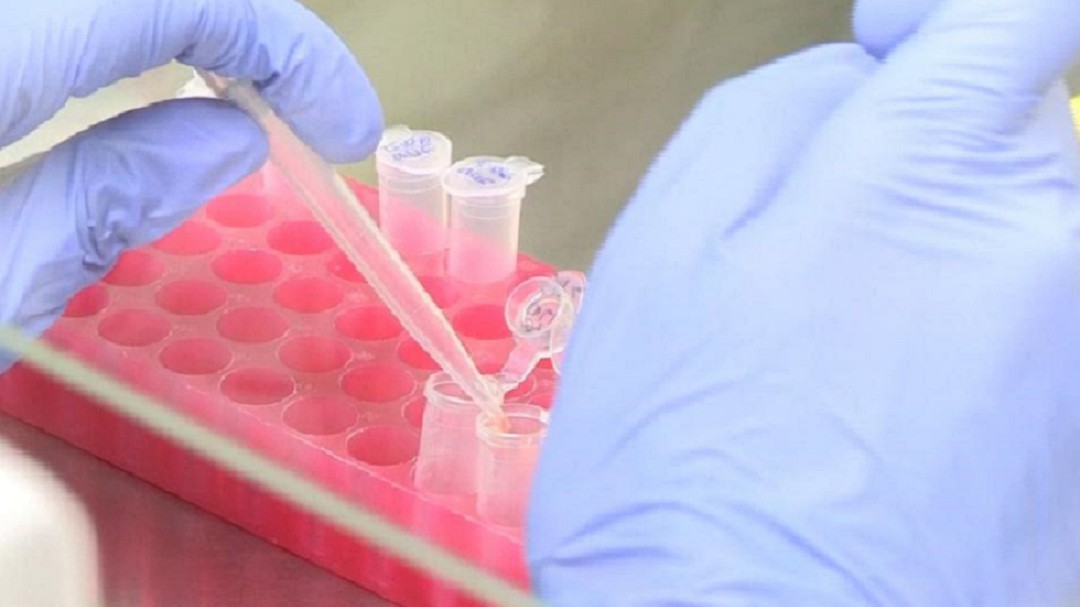 Las sesiones de quimioterapia del Clínico San Carlos vuelven a su horario habitual