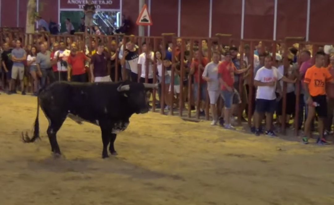 Encierros del pasado martes en Seseña Encierros del pasado martes en Seseña