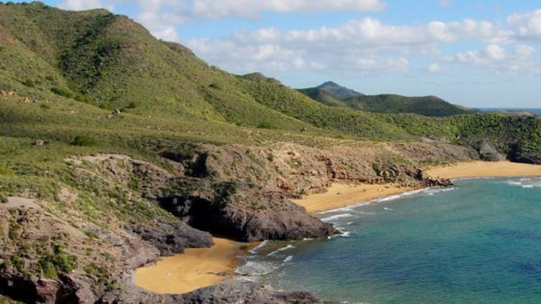 Actividades caballistas en Calblanque que pueden interferir en el anidamiento de la tortuga boba