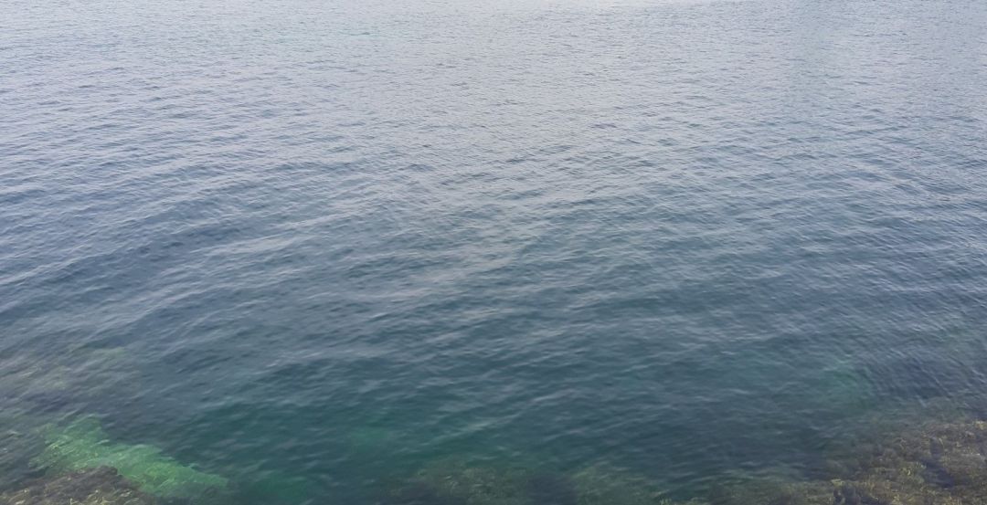 Alternativa per Pollença denuncia que el ayuntamiento oculta análisis de aguas contaminadas Alternativa per Pollença denuncia que el ayuntamiento oculta análisis de aguas contaminadas