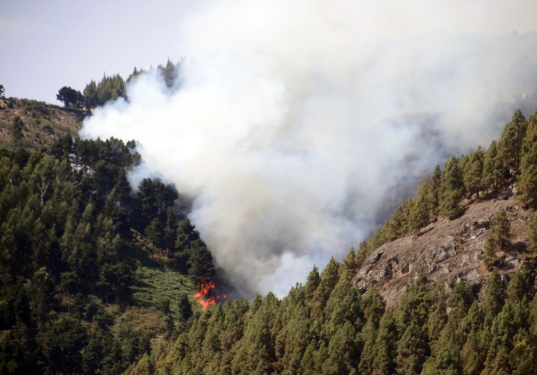 El incendio de Gran Canaria sigue sin control y afecta ya a 3.400 hectáreas