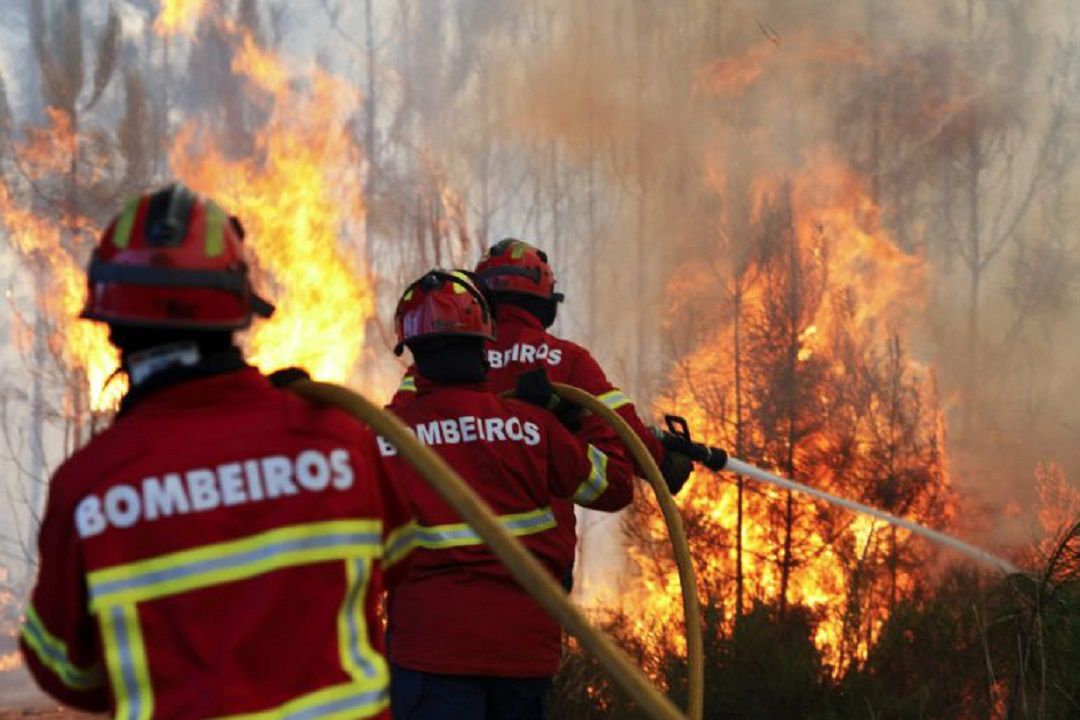 El centenar de investigados por incendios forestales este año casi alcanza la cifra total de 2018 El centenar de investigados por incendios forestales este año casi alcanza la cifra total de 2018