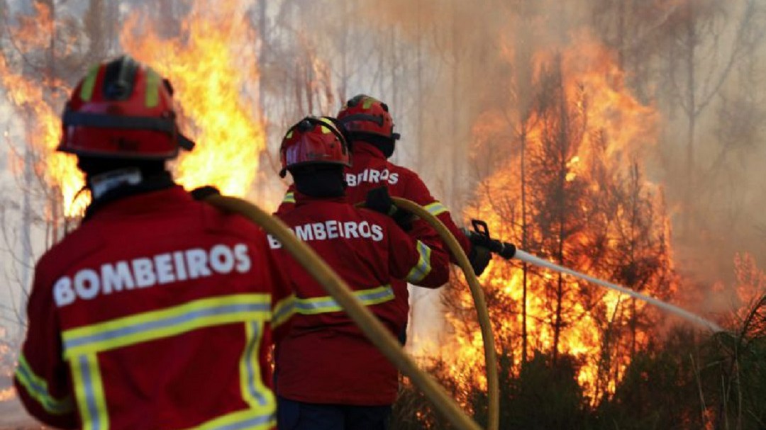 El centenar de investigados por incendios forestales este año