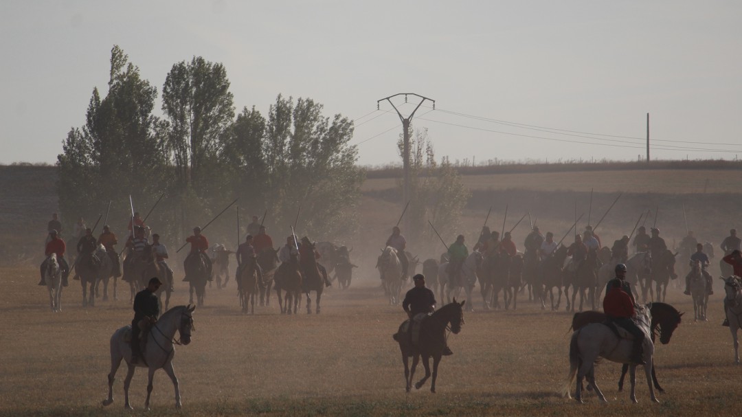 392 caballistas se inscriben para participar en los encierros de Cuéllar