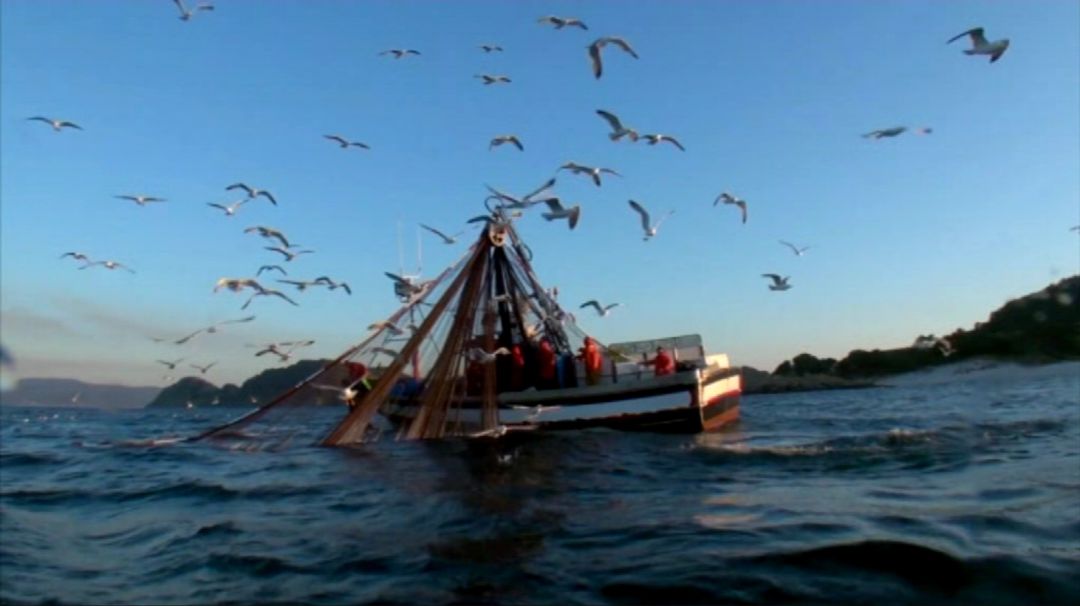 Barco pesquero Barco pesquero